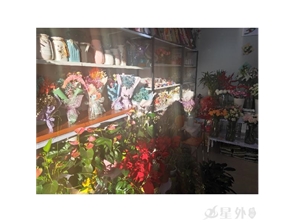 盈利中花店整体转租（可空转）